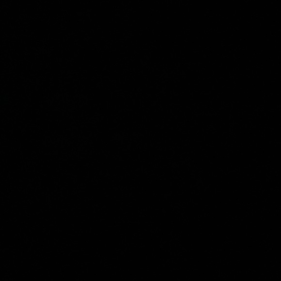 Profile Picture of Holly Brideau (@hollybrideau) on Poshmark