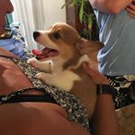 Profile Picture of Krista Pearson (@princess_penelope_and_fam) on Instagram