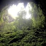 Profile Picture of the_forrest_under_the_cave (@the_forrest_under_the_cave) on Instagram