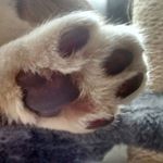 Profile Picture of Audrey Johnson (@prisedetete91) on Instagram