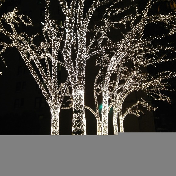 Profile Picture of Derin Tugal (@derintugal) on Poshmark