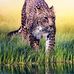 Profile Picture of Reddy Gurram (@reddy.gurram.1) on Facebook