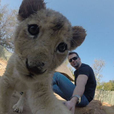 Profile Picture of Daniel Botelho (@dan_botelho) on Twitter