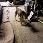 Profile Picture of Craig A. Ellinger (@campgaryl) on Instagram