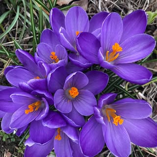 Profile Picture of Gael Rosenbaum (@gaelrosenbaum) on Instagram