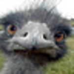Profile Picture of Jeff Price (@Maricopa2011) on Flickr