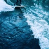 Profile Picture of Jason Tom (@@skylinetom) on Tiktok