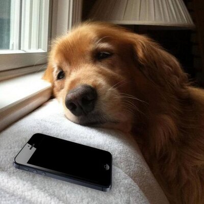 Profile Picture of David Sherrod (@sherroddave) on Twitter