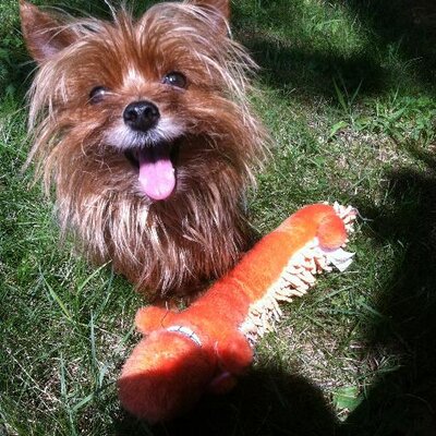 Profile Picture of Michael Barsi Attorn (@MichaelBarsi2) on Twitter