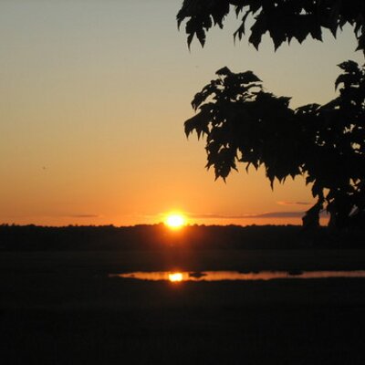 Profile Picture of Robert Martel (@bobmartel) on Twitter