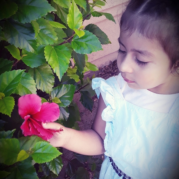 Profile Picture of Celene Chavez (@chavez_celene) on Poshmark