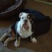Profile Picture of Shawn Jordan (@shawn.jordan.9847867) on Facebook