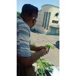 Profile Picture of Alberto Monterrosa (@albert_djsv) on Instagram