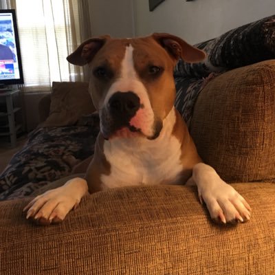 Profile Picture of Jim Leasure (@JimLeasure1) on Twitter