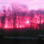 Profile Picture of Bruce Boeyinga (@bruceboeyinga) on Instagram