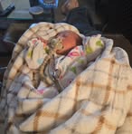 Profile Picture of Jeff Honeyman (@jeff.honeyman) on Facebook