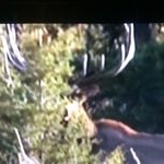 Profile Picture of Elk Obsessions (@wade_hack) on Instagram