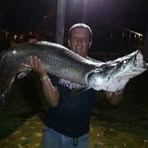 Profile Picture of Hugo Benavides (@hugo.benavides.83751) on Facebook