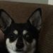 Profile Picture of David Buis (@davidhbuis) on Pinterest