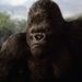 Profile Picture of Kong Chang (@jadafa) on Pinterest