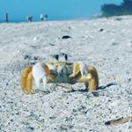 Profile Picture of Brett (@brett.vanderen) on Instagram