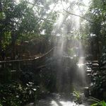 Profile Picture of Daniela Beumers (@danielabeumers) on Instagram