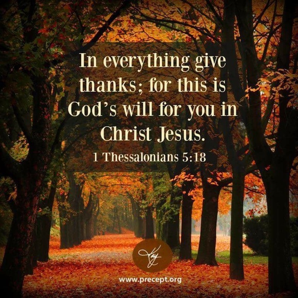 Profile Picture of Tracie Poston (@tracieposton) on Poshmark