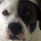 Profile Picture of AMY HEBERT (@amyhebert7297) on Youtube