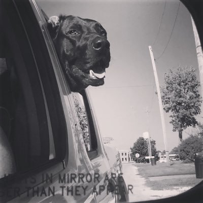 Profile Picture of Joe Gulley (@joegulley01) on Twitter