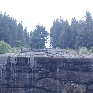 Profile Picture of Chang Lin (@chang.lin.14473) on Facebook