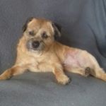 Profile Picture of Alex Mclauchlin (@mclauchlinalex) on Instagram