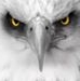 Profile Picture of Douglas Lehr (@douglas.lehr.96) on Facebook