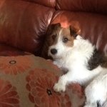 David Slight - Instagram Profile Picture of David Slight (@that_guy_sunnyjim) on Instagram