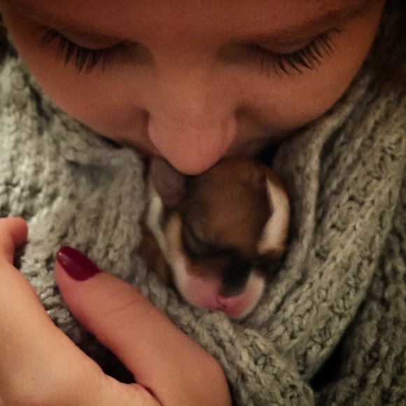 Valerie Tockstein - Poshmark Profile Picture of Valerie Tockstein (@vtox) on Poshmark