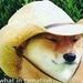 Profile Picture of Andrew Broerken (@abroerken) on Pinterest