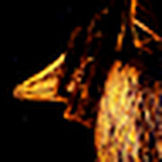 Profile Picture of Carlos Astudillo (@_ayatollah) on Flickr