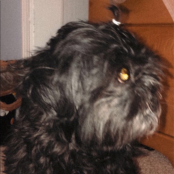 Profile Picture of Chloe Fowler (@cmf026) on Poshmark