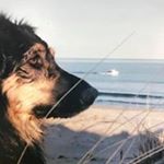 Profile Picture of Richard Wakeling (@rcw105) on Instagram