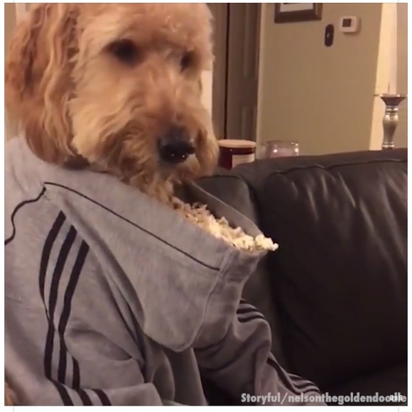 Profile Picture of Kendyl Schuchman (@kennie___) on Poshmark