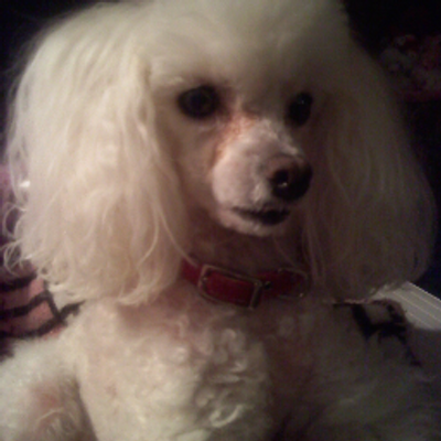 Profile Picture of Robin Garner (@RobinGarner4) on Twitter