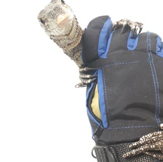 Profile Picture of Ang Gimotti (@ang.gimotti.3) on Facebook