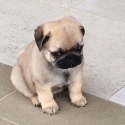 Profile Picture of Karonienhawe (@tyler.delormier) on Tiktok