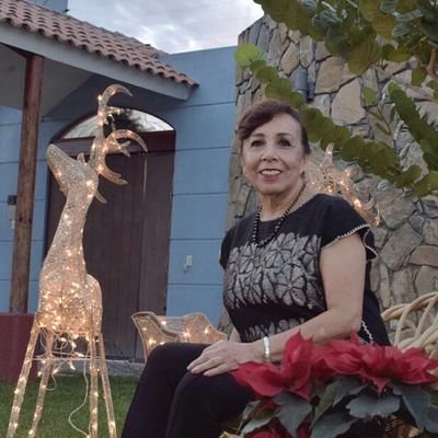 Profile Picture of Silvia Romero Suárez (@silviaromeroDip) on Twitter