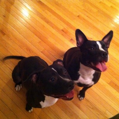 Profile Picture of Jason  Prather (@Jrprath000) on Twitter
