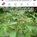 Profile Picture of Andrea Ernest (@andrea.ernest.568) on Facebook