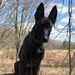 Profile Picture of Jacob Palidar (@jacobp1087) on Pinterest