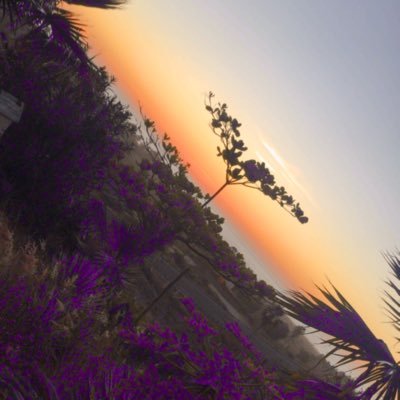 Profile Picture of Sonia D A Almanza (@SoniaDAAlmanza1) on Twitter