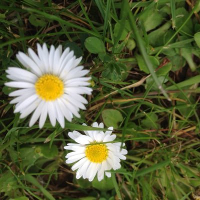Profile Picture of Julia Rutherford (@JuliaRuther) on Twitter