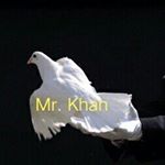 Profile Picture of Abdul Qayyum Pathan (@pathanabdulqayyum) on Instagram