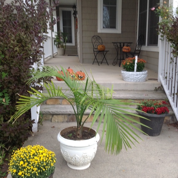 Profile Picture of Galina Kulikovska (@galinaf) on Poshmark